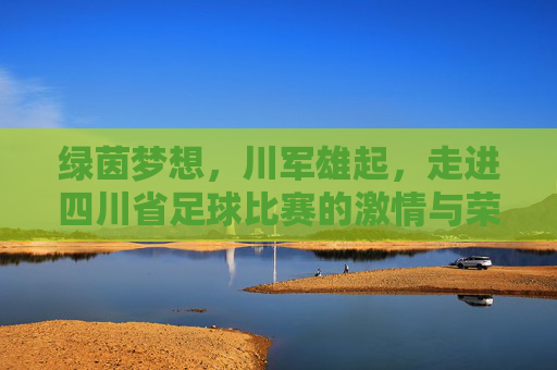 绿茵梦想,川军雄起,走进四川省足球比赛的激情与荣耀