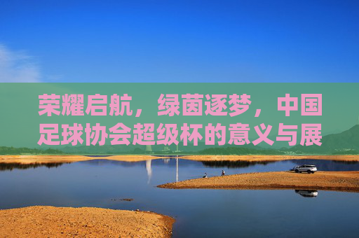 荣耀启航,绿茵逐梦,中国足球协会超级杯的意义与展望