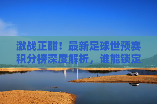 激战正酣!最新足球世预赛积分榜深度解析,谁能锁定晋级名额?
