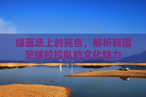 绿茵场上的亮色,解析韩国足球拉拉队的文化魅力