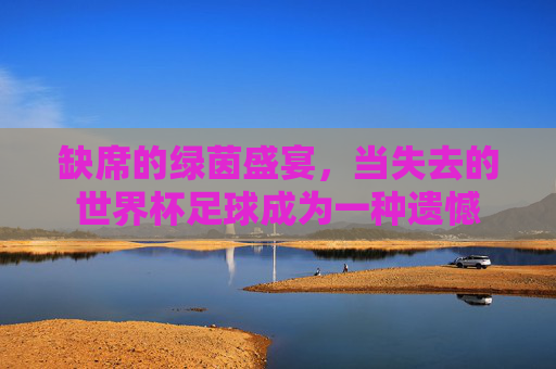 缺席的绿茵盛宴,当失去的世界杯足球成为一种遗憾