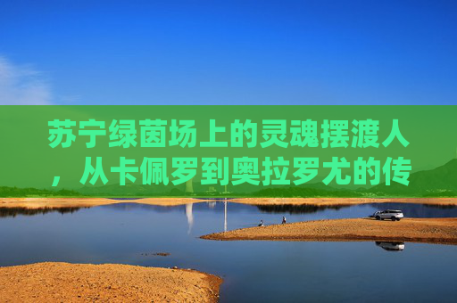 苏宁绿茵场上的灵魂摆渡人,从卡佩罗到奥拉罗尤的传奇与落幕