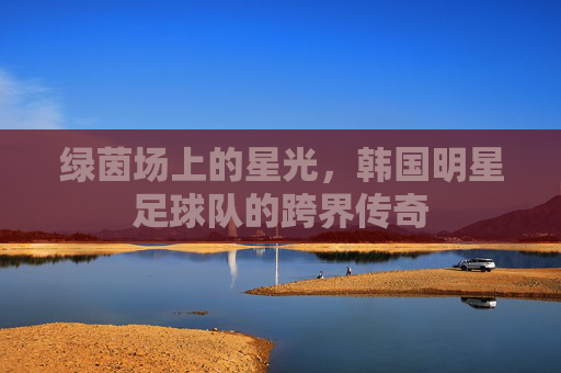绿茵场上的星光,韩国明星足球队的跨界传奇