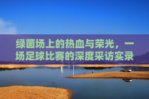 绿茵场上的热血与荣光,一场足球比赛的深度采访实录