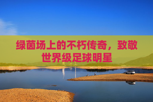 绿茵场上的不朽传奇,致敬世界级足球明星