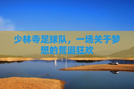 少林寺足球队,一场关于梦想的荒诞狂欢