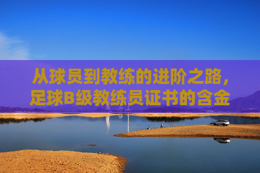 从球员到教练的进阶之路,足球B级教练员证书的含金量与实战价值