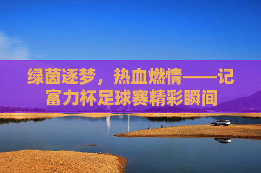 绿茵逐梦,热血燃情——记富力杯足球赛精彩瞬间
