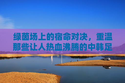 绿茵场上的宿命对决,重温那些让人热血沸腾的中韩足球赛视频