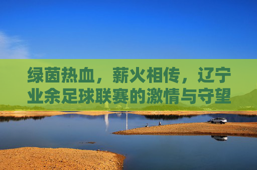 绿茵热血，薪火相传，辽宁业余足球联赛的激情与守望