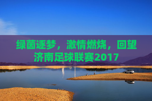 绿茵逐梦,激情燃烧,回望济南足球联赛2017