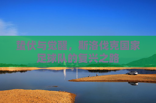 蛰伏与觉醒,斯洛伐克国家足球队的复兴之路