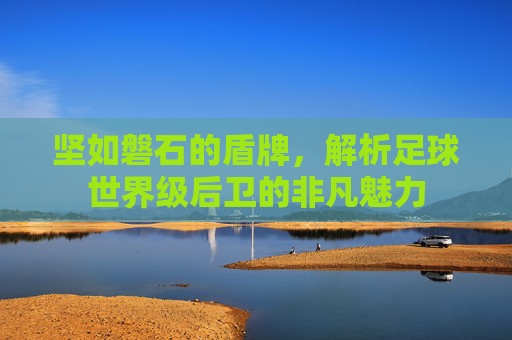 坚如磐石的盾牌,解析足球世界级后卫的非凡魅力