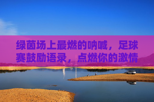 绿茵场上最燃的呐喊,足球赛鼓励语录,点燃你的激情与斗志