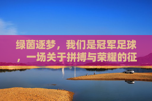 绿茵逐梦,我们是冠军足球,一场关于拼搏与荣耀的征途