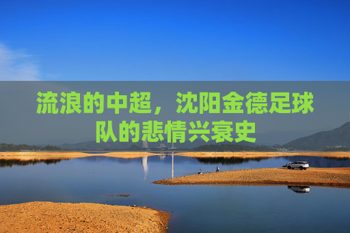 流浪的中超,沈阳金德足球队的悲情兴衰史