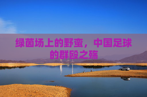 绿茵场上的野蛮,中国足球的群殴之殇