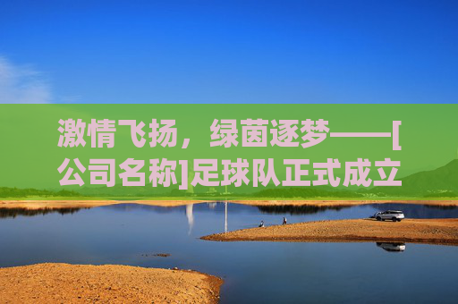 激情飞扬，绿茵逐梦——[公司名称]足球队正式成立