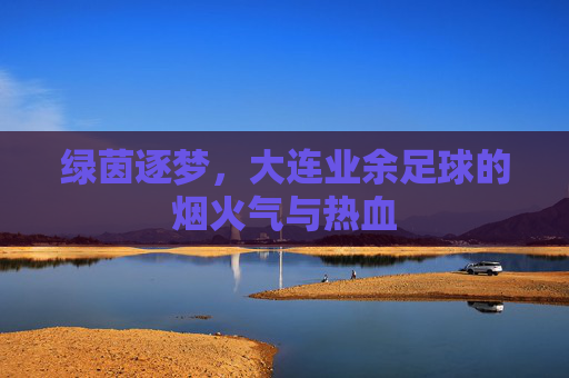 绿茵逐梦，大连业余足球的烟火气与热血