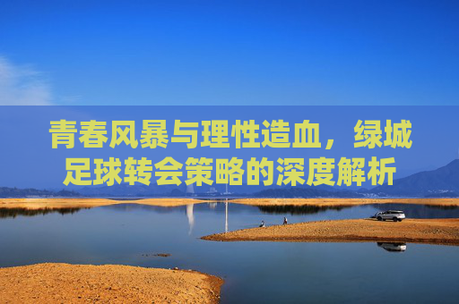 青春风暴与理性造血，绿城足球转会策略的深度解析