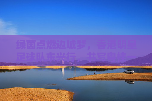 绿茵点燃边城梦，香港明星足球队东兴行，书写粤桂一家亲