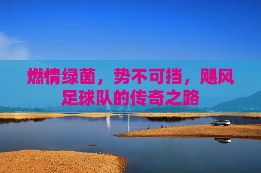 燃情绿茵，势不可挡，飓风足球队的传奇之路