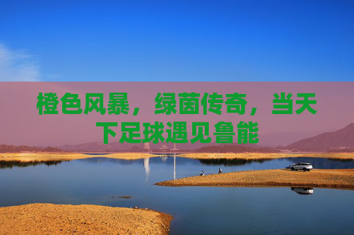 橙色风暴，绿茵传奇，当天下足球遇见鲁能
