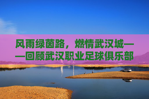 风雨绿茵路，燃情武汉城——回顾武汉职业足球俱乐部的传奇与遗憾