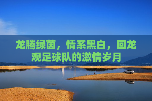 龙腾绿茵，情系黑白，回龙观足球队的激情岁月