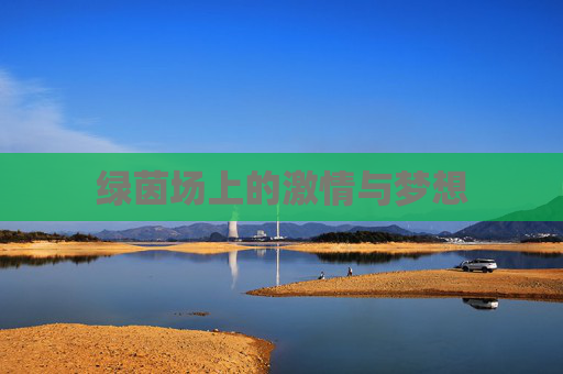 绿茵场上的激情与梦想