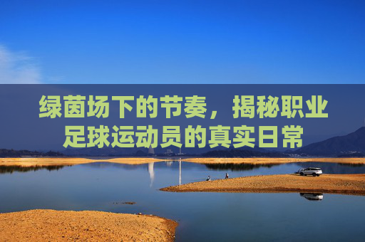 绿茵场下的节奏,揭秘职业足球运动员的真实日常