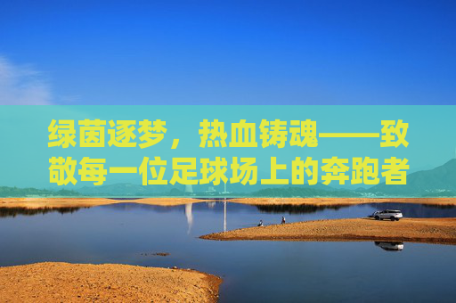 绿茵逐梦,热血铸魂——致敬每一位足球场上的奔跑者