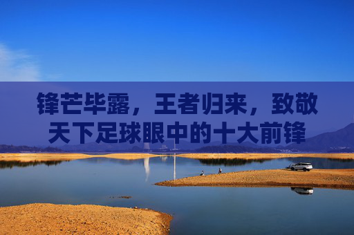 锋芒毕露,王者归来,致敬天下足球眼中的十大前锋