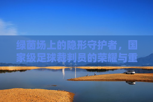 绿茵场上的隐形守护者,国家级足球裁判员的荣耀与重负