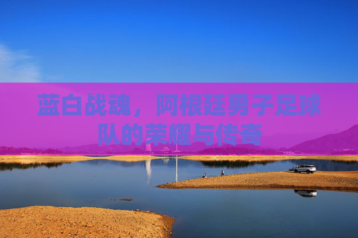 蓝白战魂,阿根廷男子足球队的荣耀与传奇