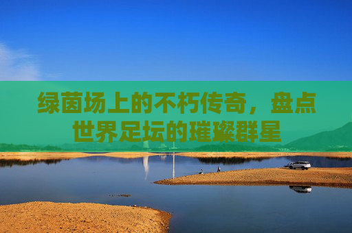 绿茵场上的不朽传奇,盘点世界足坛的璀璨群星