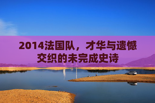 2014法国队,才华与遗憾交织的未完成史诗