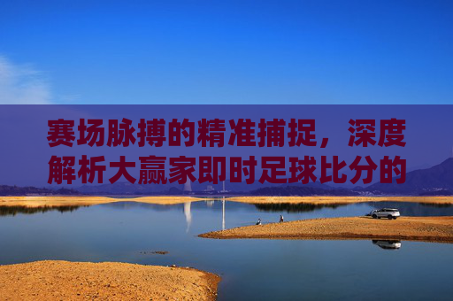赛场脉搏的精准捕捉，深度解析大赢家即时足球比分的价值