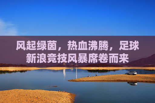 风起绿茵，热血沸腾，足球新浪竞技风暴席卷而来