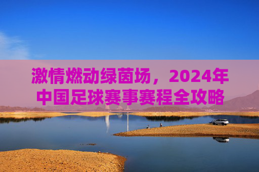 激情燃动绿茵场,2024年中国足球赛事赛程全攻略