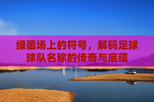绿茵场上的符号，解码足球球队名称的传奇与底蕴