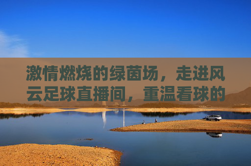 激情燃烧的绿茵场,走进风云足球直播间,重温看球的极致快感
