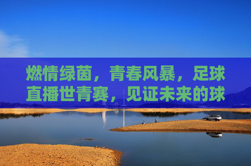 燃情绿茵，青春风暴，足球直播世青赛，见证未来的球王