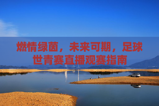 燃情绿茵,未来可期,足球世青赛直播观赛指南