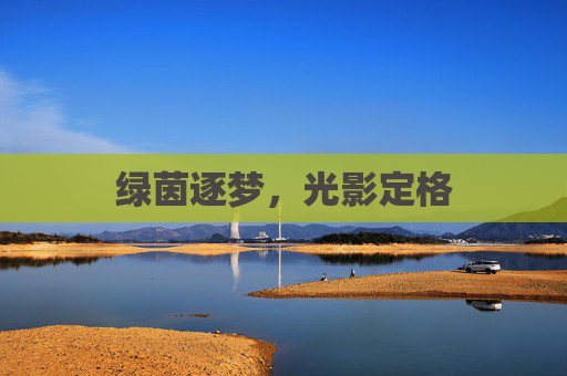绿茵逐梦,光影定格