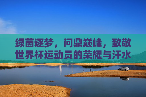 绿茵逐梦,问鼎巅峰,致敬世界杯运动员的荣耀与汗水
