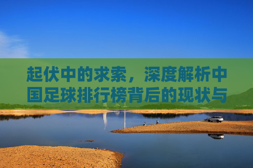 起伏中的求索，深度解析中国足球排行榜背后的现状与未来