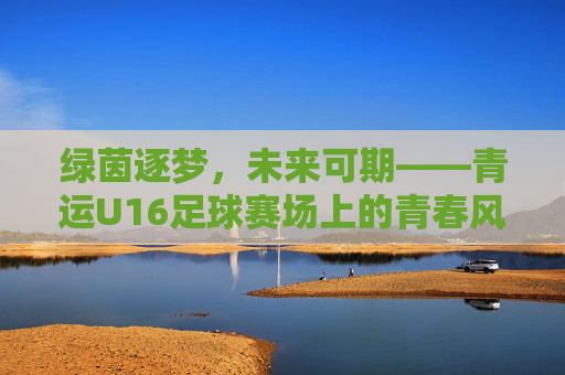 绿茵逐梦,未来可期——青运U16足球赛场上的青春风暴