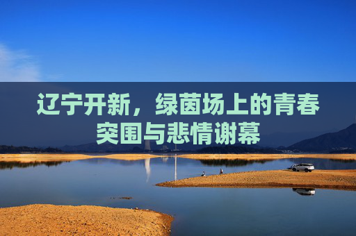 辽宁开新,绿茵场上的青春突围与悲情谢幕