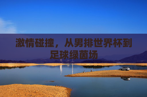 激情碰撞,从男排世界杯到足球绿茵场